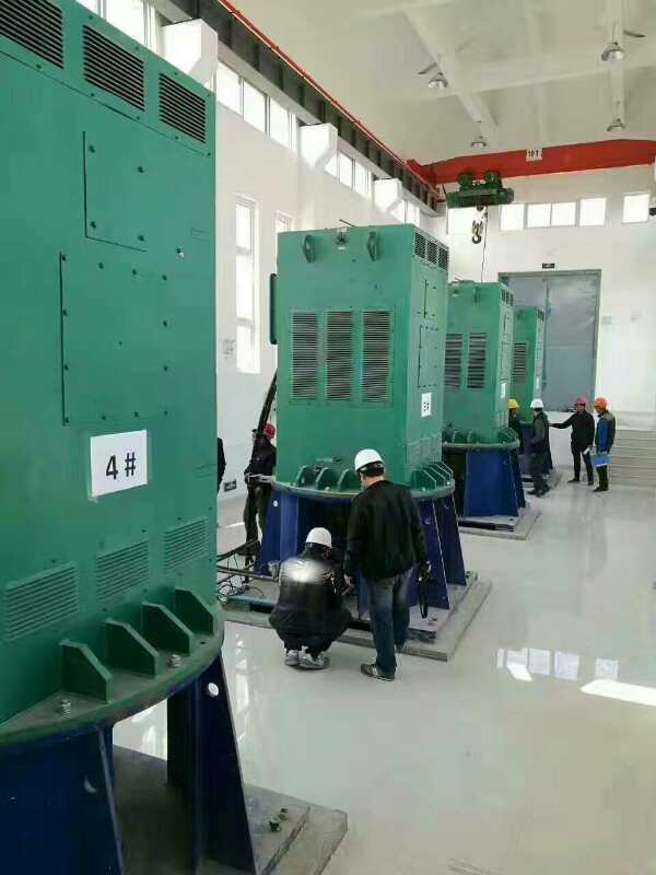 佛冈某污水处理厂使用我厂的立式高压电机安装现场