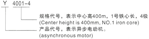 西安泰富西玛Y系列(H355-1000)高压佛冈三相异步电机型号说明